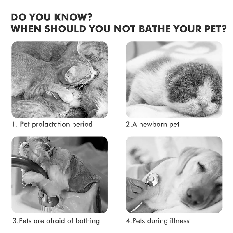 UZ Pet All-in-One Waterless Bath Brush with Foam