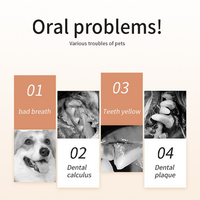 UZ Pet Oral Care Finger Mitt - Silicone & Non-Woven Wipes