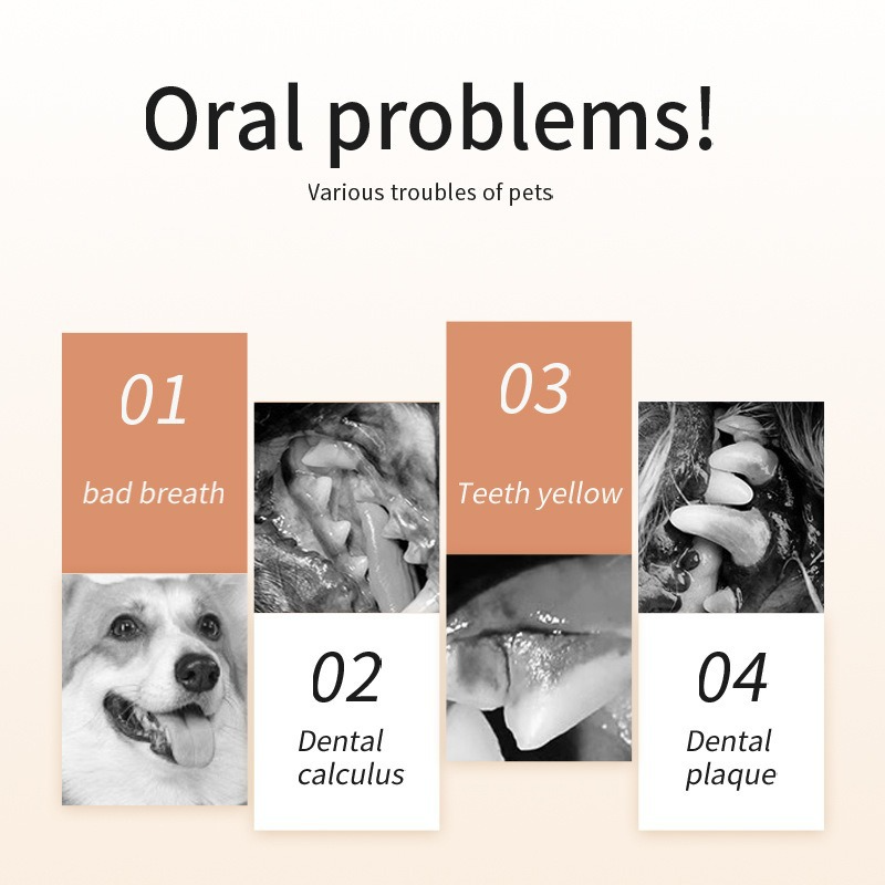 UZ Pet Oral Care Finger Mitt - Silicone & Non-Woven Wipes