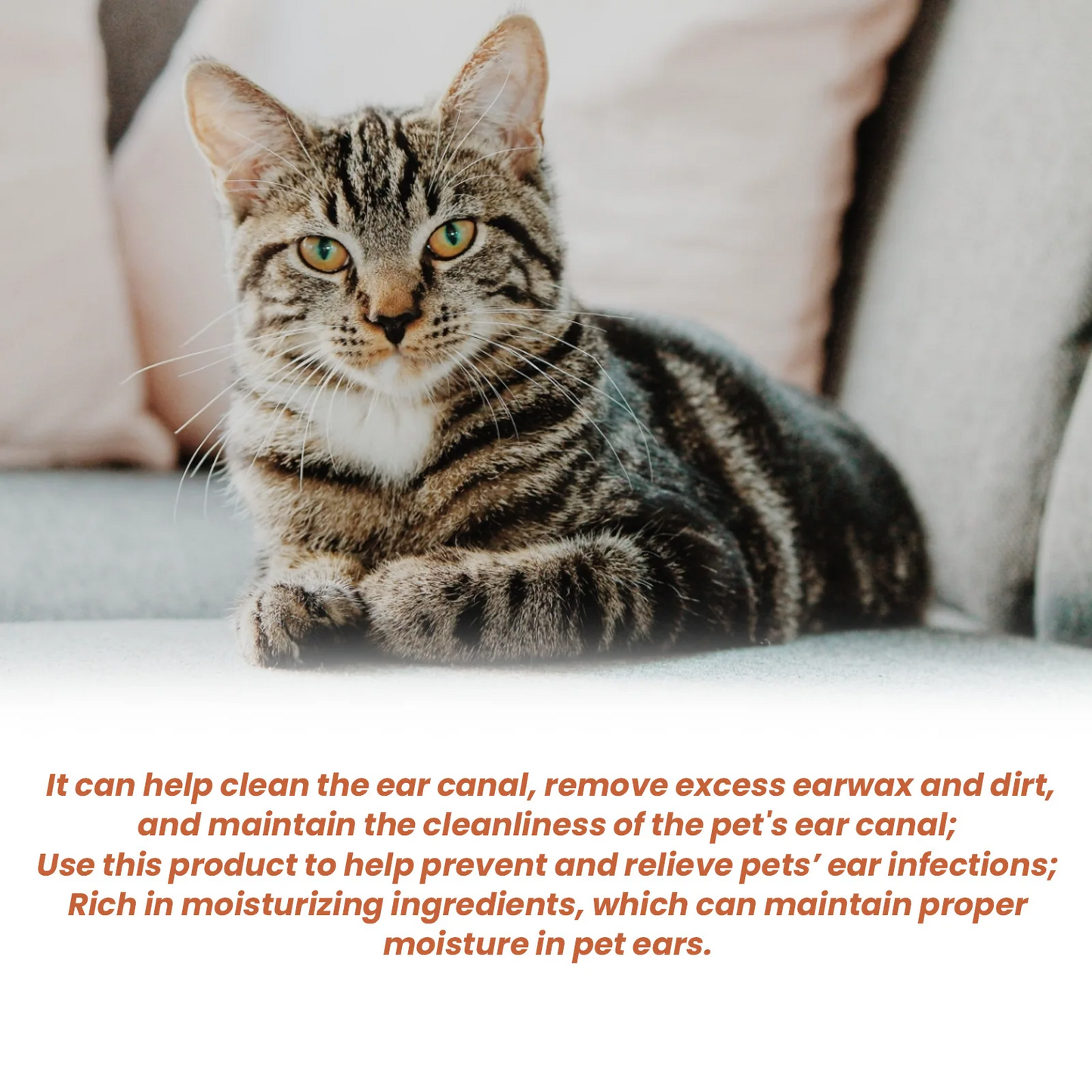 UZ Pet Anti-Mite Ear Drops - Deodorizing Cleaner for Dogs & Cats