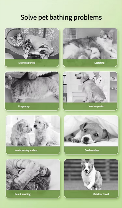 UZ Pet No-Rinse Bath Gloves - Disposable & Deodorizing